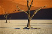 Namib National Park, Namibia, Namibia