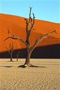 Namib National Park, Namibia, Namibia