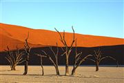 Namib National Park, Namibia, Namibia