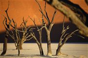 Namib National Park, Namibia, Namibia