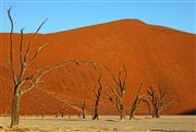 Namib National Park, Namibia, Namibia