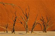 Namib National Park, Namibia, Namibia