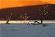 Namib National Park, Namibia, Namibia