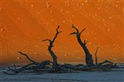 Namib National Park, Namibia, Namibia