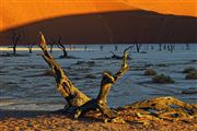Namib National Park, Namibia, Namibia
