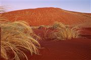 Namib National Park, Namibia, Namibia