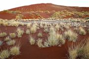 Namib National Park, Namibia, Namibia