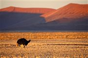 Namib National Park, Namibia, Namibia