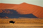 Namib National Park, Namibia, Namibia