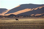 Namib National Park, Namibia, Namibia