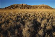 Naukluft National Park, Namibia, Namibia