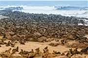 Namib National Park Squeleton Coust, Namibia, Namibia