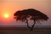 Etosha, Namibia, Namibia