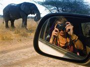 Camara Canon PowerShot G9
Botswana Elefante  african Elephant  loxodonta Africana 
El Sur Africano
BOTSWANA
Foto: 23128