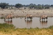 Etosha, Namibia, Namibia