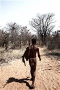 Kalahari Desert, Namibia, Namibia