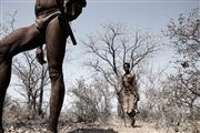 Kalahari Desert, Namibia, Namibia