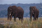 Botswana, Botswana, Botswana