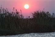 Camara Canon EOS 500D
Botswana Parque Nacional Chobe 
El Sur Africano
BOTSWANA
Foto: 23252