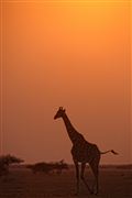 Botswana, Botswana, Botswana