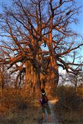 Botswana, Botswana, Botswana