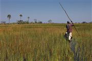 Botswana, Botswana, Botswana