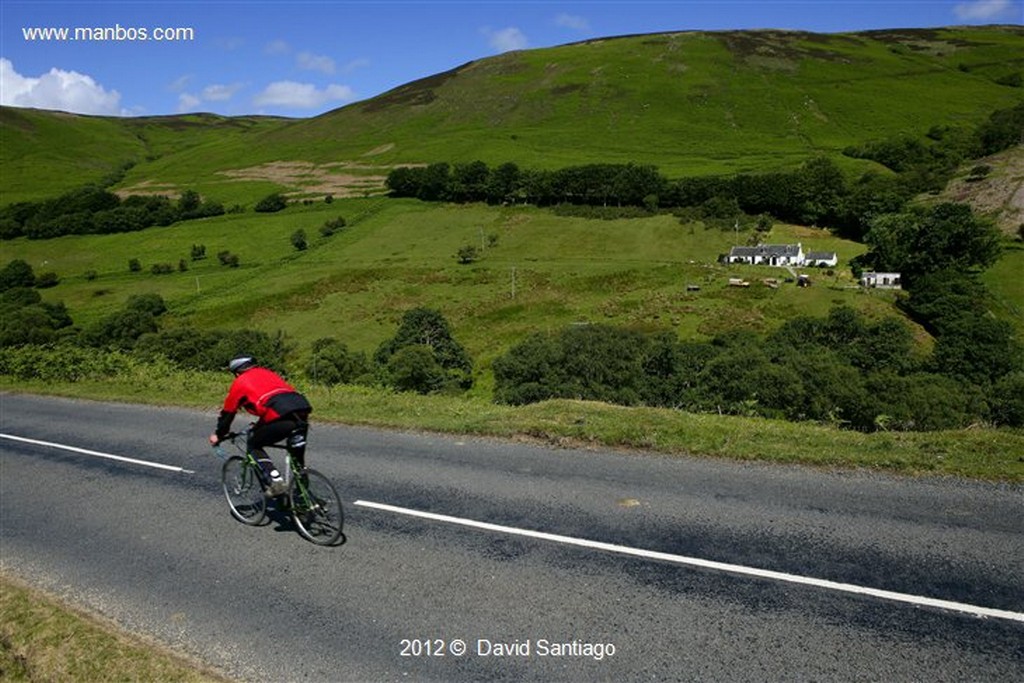 Isle of Mull
Vaca de Las Highlands en La Isla de  mull - escocia
Isle of Mull