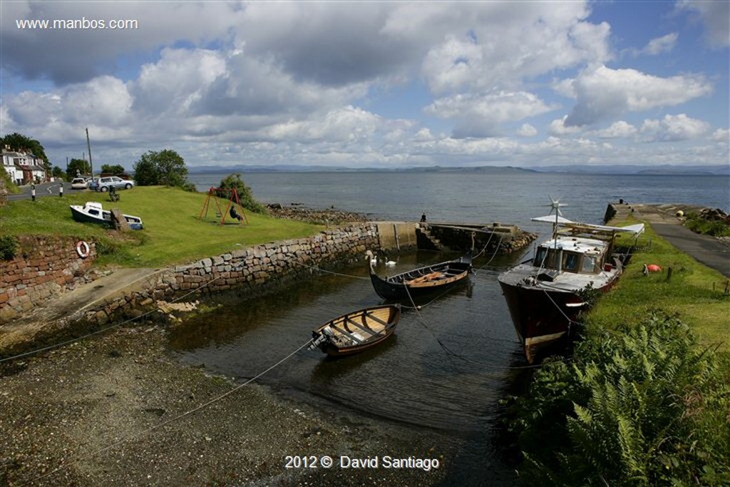 Isle of Mull
Gaviota Sombria en La Isla de  mull - escocia
Isle of Mull