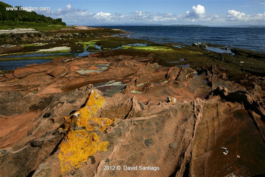 Isle of Mull
Destileria de Arran
Isle of Mull