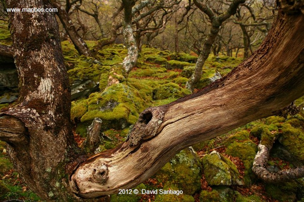 Isle Arran
Paisajes en Glen Chalmalade
Isle Arran