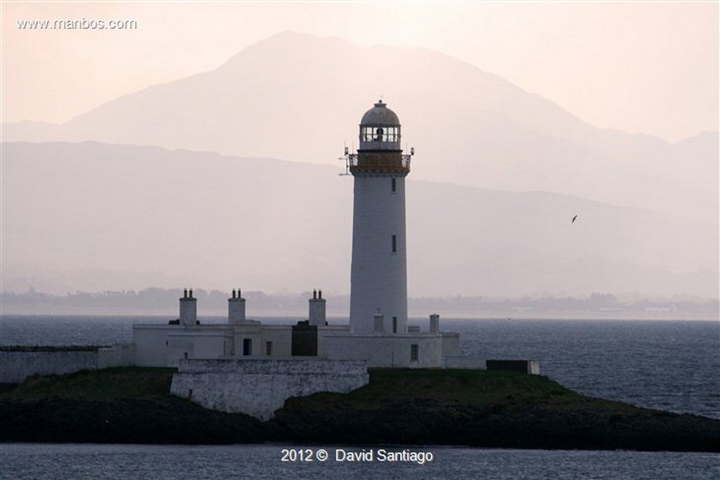 Isle of Mull
Gaviota Sombria en La Isla de  mull - escocia
Isle of Mull