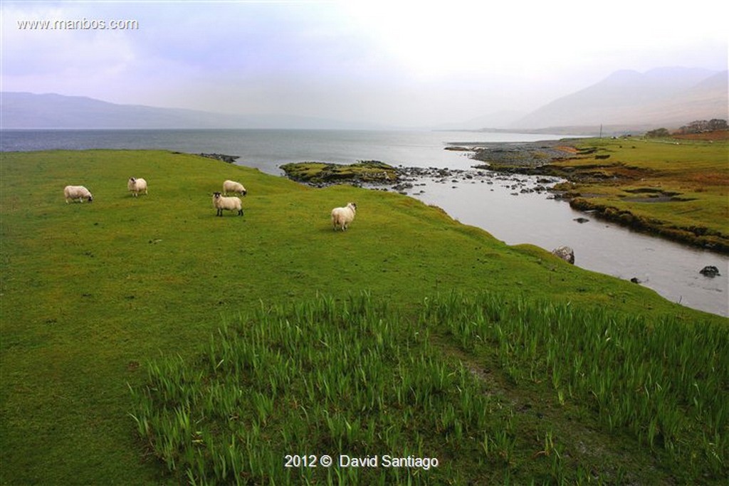 Isle of Mull
Faro en La Isla de  mull - escocia
Isle of Mull