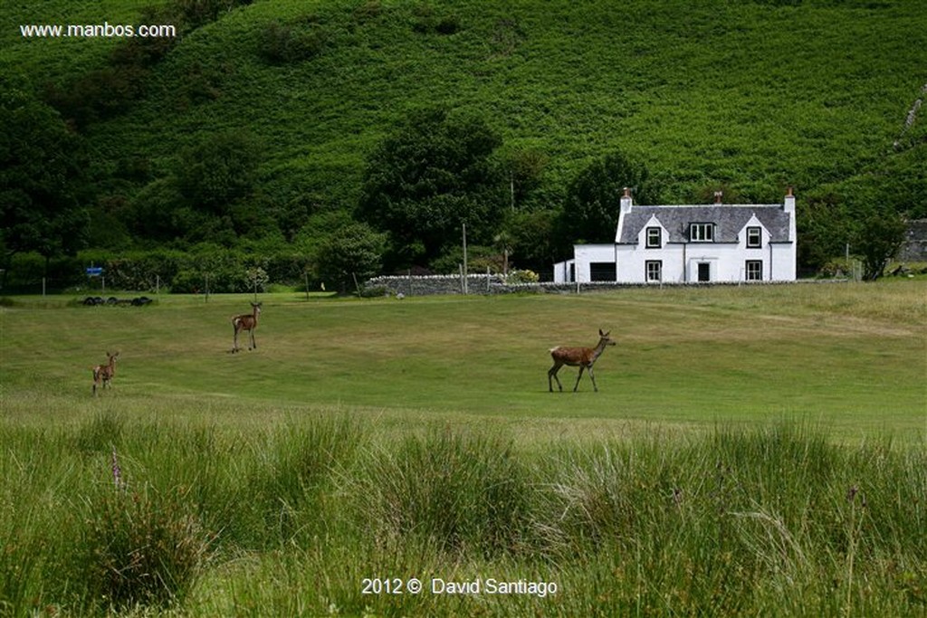 Isle of Mull
Iglesia en La Isla de Mull - escocia
Isle of Mull