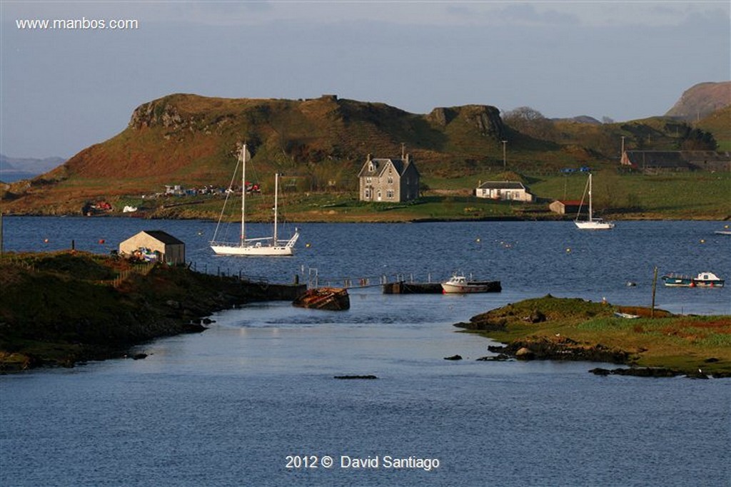 Isle of Mull
Pinzon en La Isla de  mull - escocia
Isle of Mull