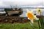 Isle of Mull
Restos de Barcos en Craignure en La Isla de  mull - escocia
Isle of Mull