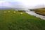 Isle of Mull
Loch Na Keal en La Isla de  mull - escocia
Isle of Mull
