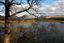 Loch Awe
Loch Awe - escocia
Loch Awe