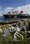 Isle of Arran
Ferry en La Bahia de Brodick
Isle of Arran