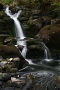 Camara Canon Eos 5D
Curso de Agua en La Isla de  mull - escocia
Escocia
ISLE OF MULL
Foto: 29732