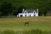 Isle of Mull, Isle of Mull, Reino Unido