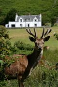 Isle of Mull, Isle of Mull, Reino Unido