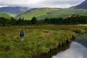 Isle Of Arran, Isle of Arran, Reino Unido