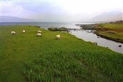 Isle of Mull, Isle of Mull, Reino Unido