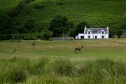 Isle of Mull, Isle of Mull, Reino Unido