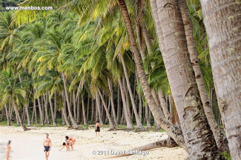 Palawan
Helicopter Island
Bacuit Archipielago