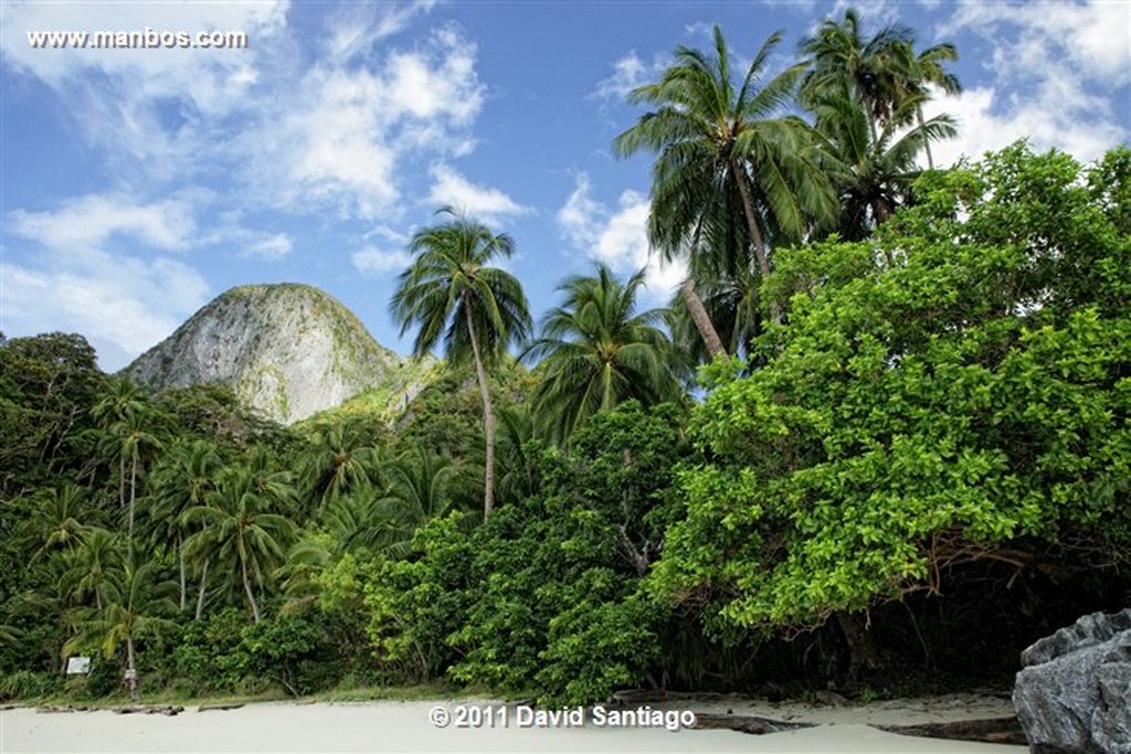 Palawan
Paradise Beach
Bacuit Archipielago