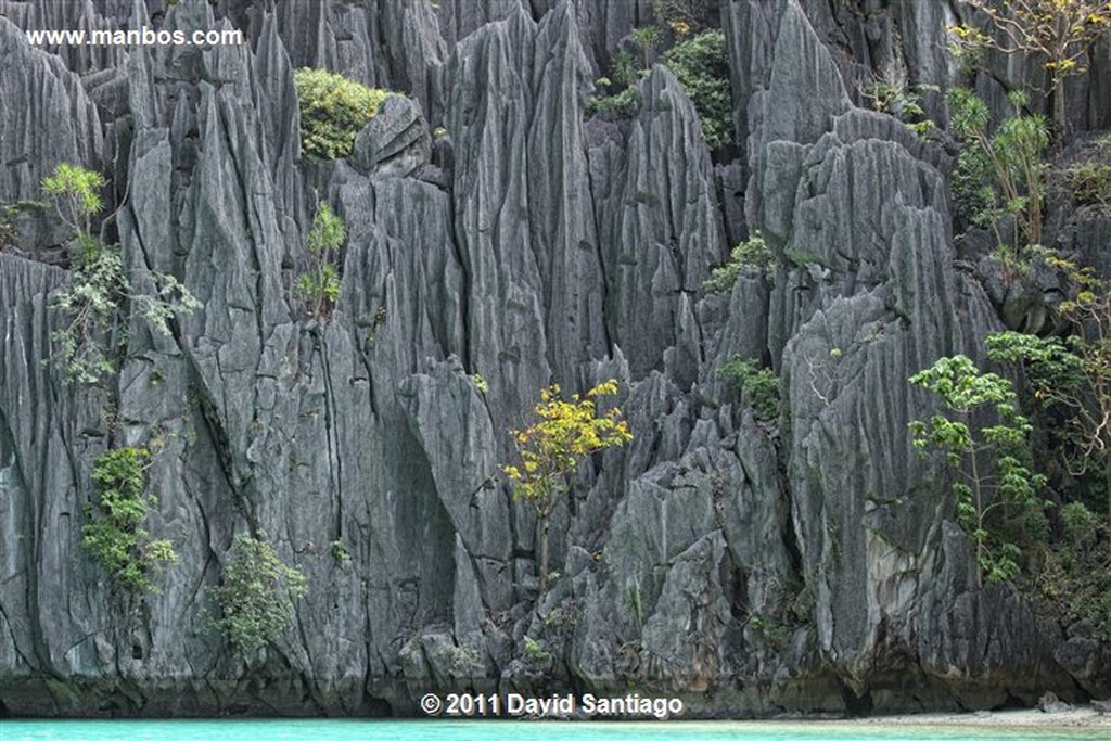 Palawan
Paradise Beach
Bacuit Archipielago