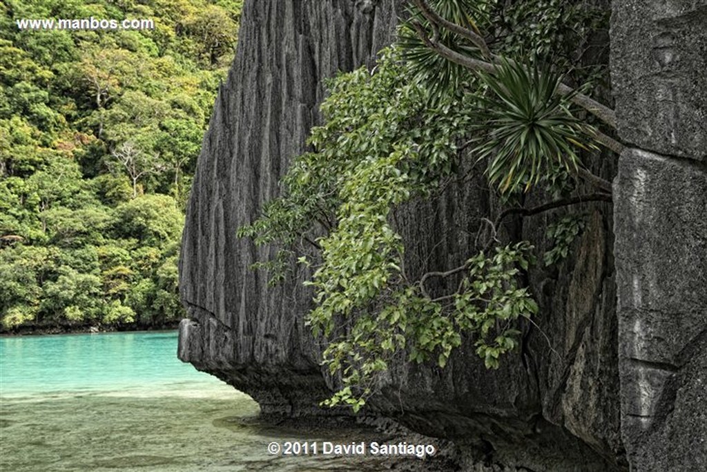 Palawan
Pasandigan Beach
Bacuit Archipielago