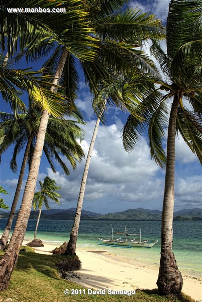 Palawan
Pinagbuyutan Island
Bacuit Archipielago