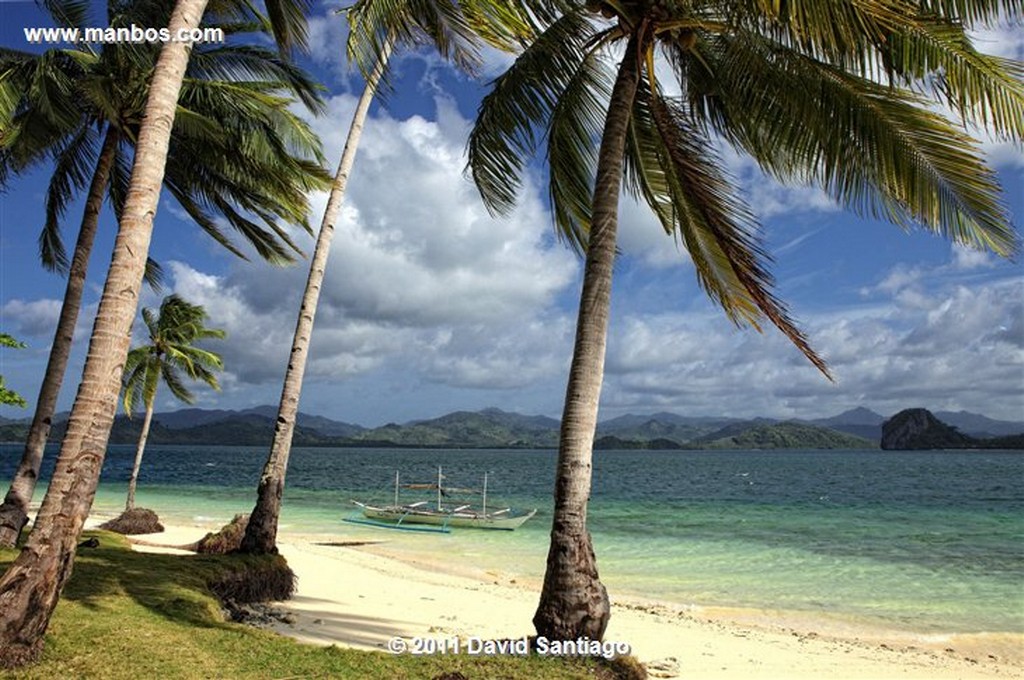 Palawan
Pinagbuyutan Island
Bacuit Archipielago